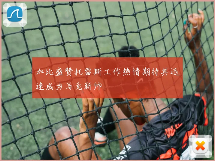 加比盛赞托雷斯工作热情期待其迅速成为马竞新帅