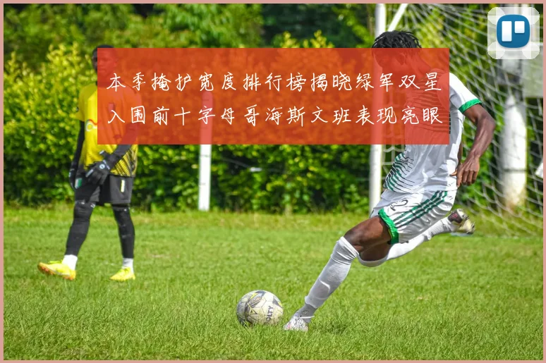 本季掩护宽度排行榜揭晓绿军双星入围前十字母哥海斯文班表现亮眼