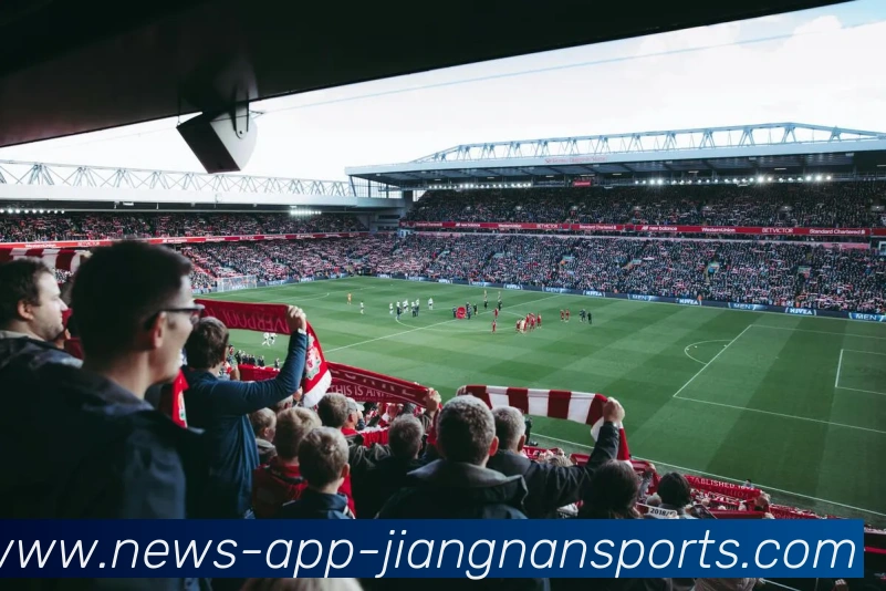 江南体育平台生态图